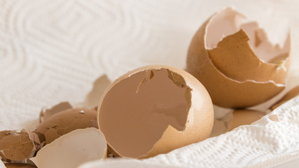 The egg shells are dried on paper.