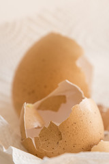 The egg shells are dried on paper.