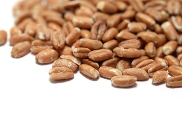 Dinkel