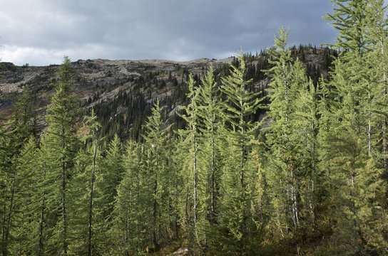 Autumn in the North Cascades, Cutthroat Pass, Washington