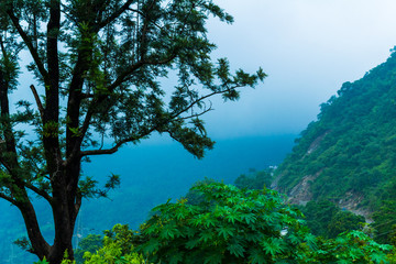 Obraz na płótnie Canvas scenic beauty on foggy day in narender nagaar utrakhand