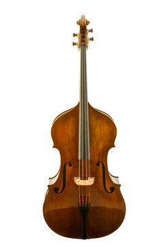 Viola isolated with clipping path
