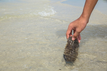 Close up hnd picking up plastic bottle cleaning on the beach.Campaign to clean.Save the world