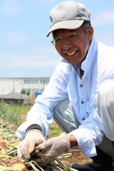 玉ねぎを収穫する男性