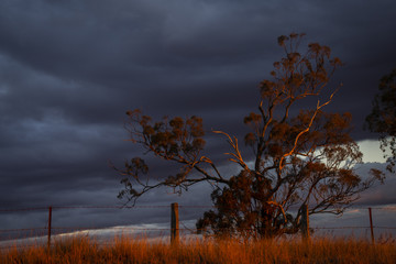 Fototapeta na wymiar Late afternoon stormy sunset in Stanthorpe, Queensland