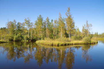 Fototapeta na wymiar Autumn landscape with a river and birches on a Sunny day