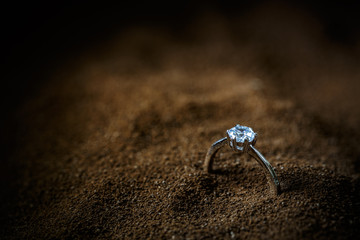 A precious lady's ring