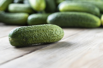 Selective focus. Fresh cucumbers