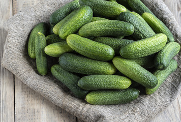 Freshly picked cucumbers lie on sackcloth