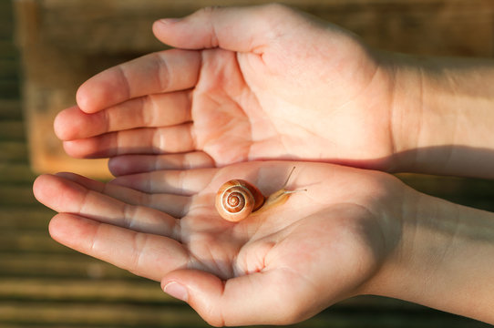 Small cute snail in child hand on the brown terrace background. Selective focus.