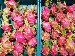 Top view of pitaya or dragon fruit on market stand in Thailand. (Hylocereus undatus)