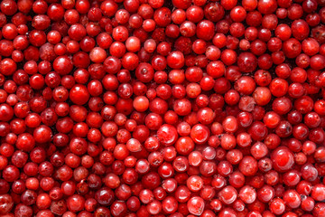 Background from red lingonberry