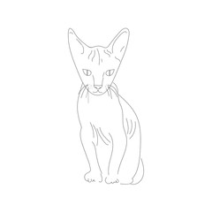 Sphinx cat. Vector Sketch Illustration.  line art. hand drawn.