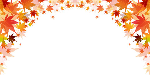 紅葉　秋　風景　背景