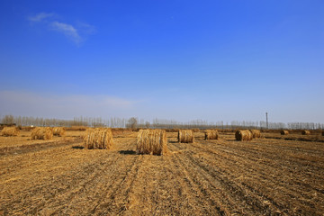 Fototapeta na wymiar Dry straw under the blue sky