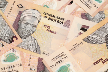 A close up image of Nigerian bank notes and coins
