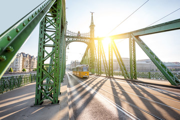 Geometrical view on the famous Liberty bridge during the sunrise in Budapest, Hungary