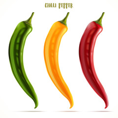 Chilli pepper vector set isolated on white background.