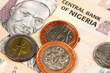 A close up image of Nigerian bank notes and coins