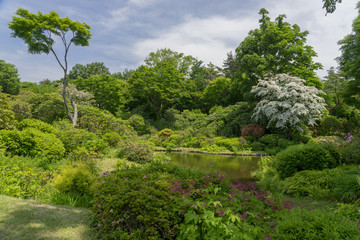 森の庭園