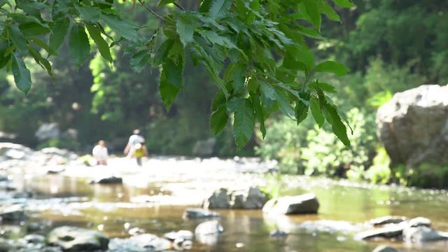 入間川 吾妻峡の風景