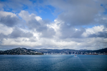 Wellington city view from the sea, New Zealand