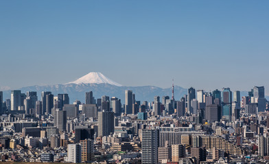 Tokyo city view , Tokyo downtown building and Tokyo tower landmark with Mountain Fuji on a clear...