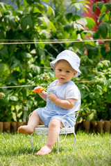 Cute little baby boy, child feeding little bunny with carrots in park.