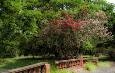 Obraz premium Landscape3