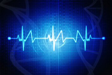 Heart with cardiogram - 3D illustration