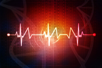 Fototapeta premium Heart with cardiogram - 3D illustration