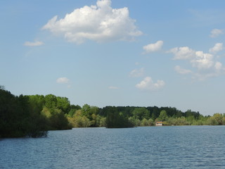 река, кустарник