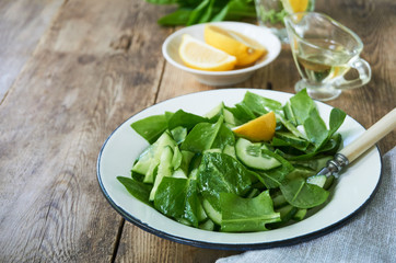 Salad with cucumber and sorrel leaves