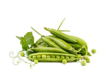 Fruits of green peas on white background.