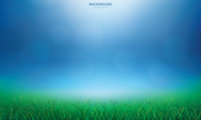 Obraz premium Green grass field and light blurred bokeh background. Vector illustration.