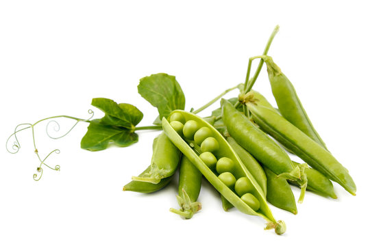 Fruits of green peas on white background.