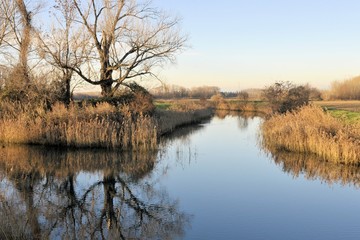 ISOLA DELLA CONA, FOCE DELL' ISONZO