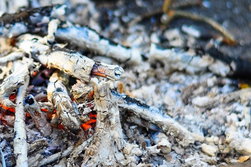  smoldering charcoal fire