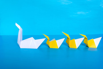 Unique and leadership concept, paper origami swan and ducks on the blue background.