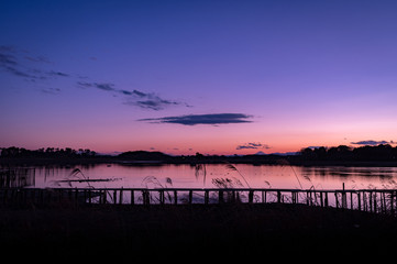 水辺の夕暮れ　館林　多々良