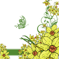  Vector hand drawing  Narcissus flowers background