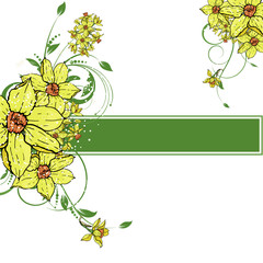  Vector hand drawing  Narcissus flowers background