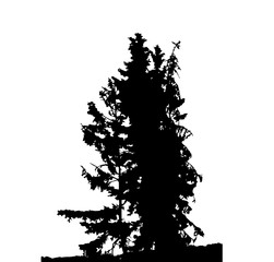 Tree Silhouette Isolated on White Backgorund. Vecrtor Illustration