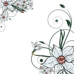  Vector hand drawing  Narcissus flowers background