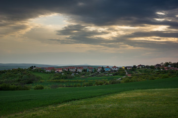 Fototapeta na wymiar Moravian fields at spring near Strazovice, Czech Republic