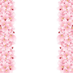 Sakura Cherry Blossom Flower Border © asamask92