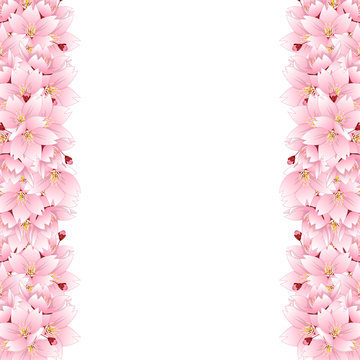 Sakura Cherry Blossom Flower Border