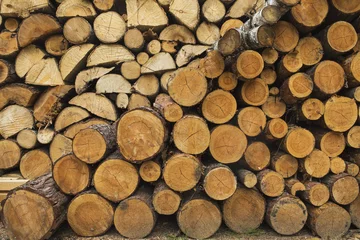 Möbelaufkleber firewood 2 © Artsiom Kuchynski