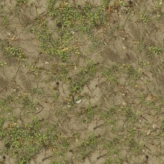 A seamless soil Texture for Backgrounds and Materials