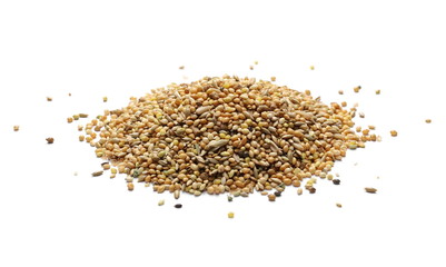 Mixed bird seeds, millet pile isolated on white background
